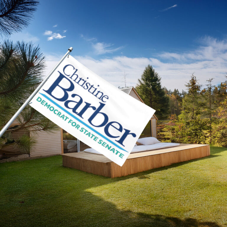 Christine Barber Democrat For State Senate Campaign Flag
