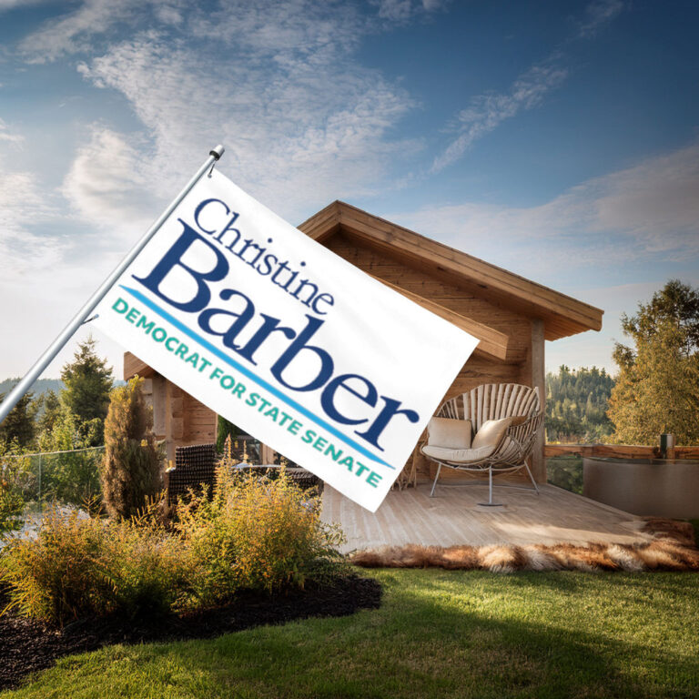 Christine Barber Democrat For State Senate Campaign Flag