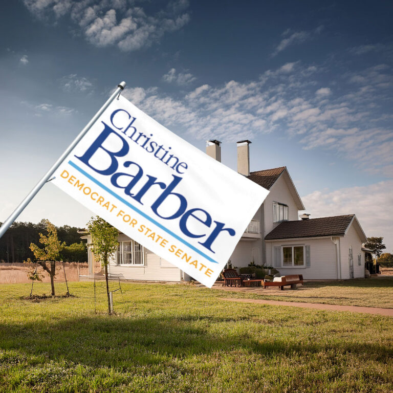 Christine Barber Democrat For State Senate Flag