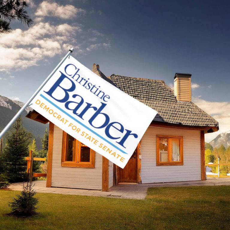 Christine Barber Democrat For State Senate Flag