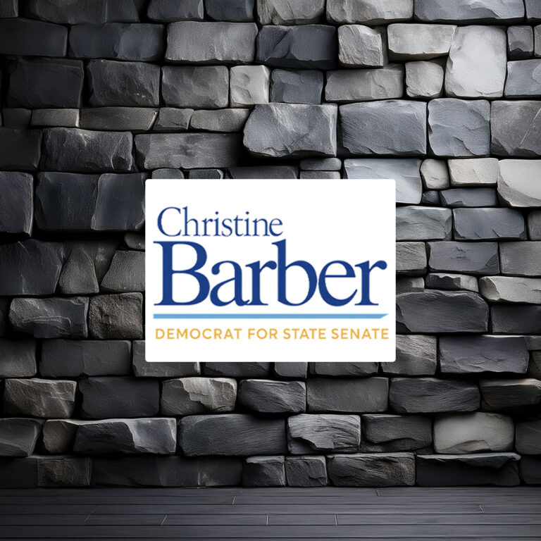 Christine Barber Democrat For State Senate Sticker