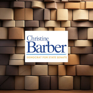 Christine Barber Democrat For State Senate Sticker