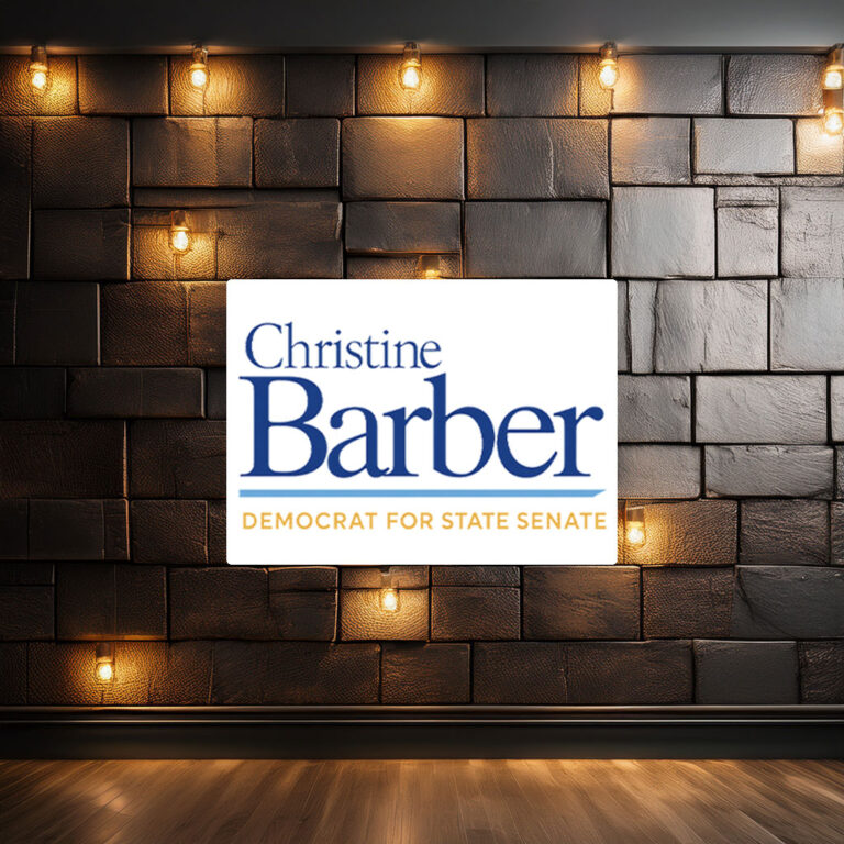 Christine Barber Democrat For State Senate Sticker