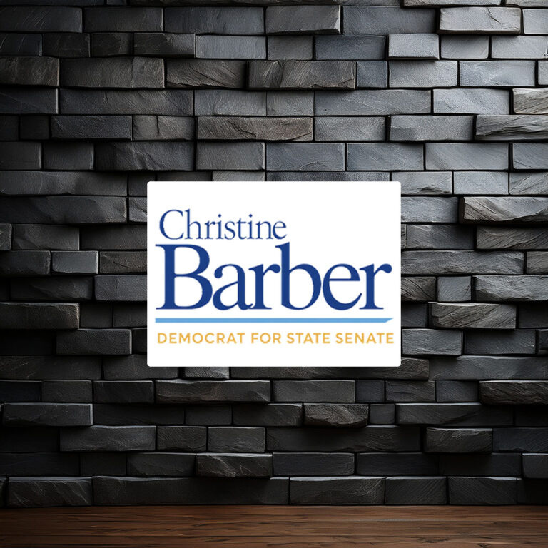 Christine Barber Democrat For State Senate Sticker