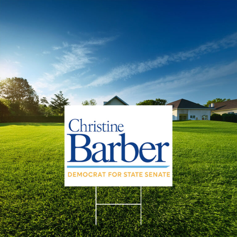 Christine Barber Democrat For State Senate Yard Sign