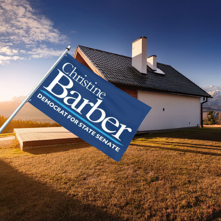 Christine Barber For State Senate Flag