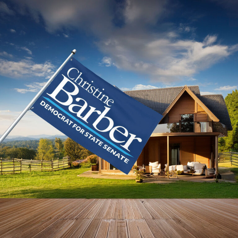 Christine Barber For State Senate Flag