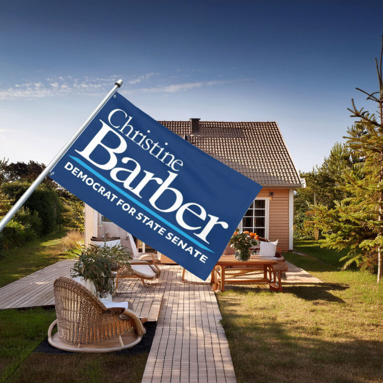 Christine Barber For State Senate Flag