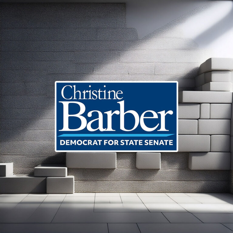 Christine Barber For State Senate Sticker