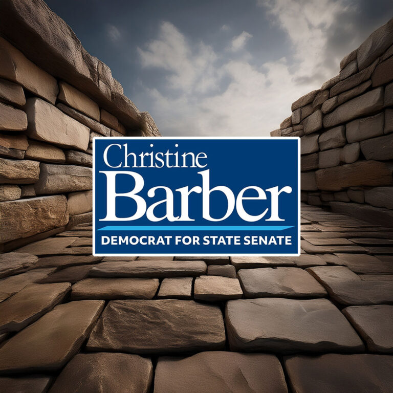 Christine Barber For State Senate Sticker