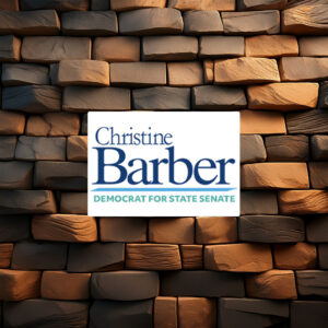 Vote Christine Barber Democrat For State Senate Sticker Decal