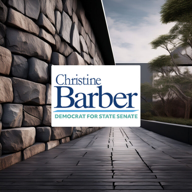 Vote Christine Barber Democrat For State Senate Sticker Decal