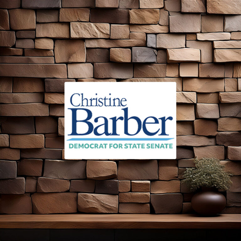 Vote Christine Barber Democrat For State Senate Sticker Decal