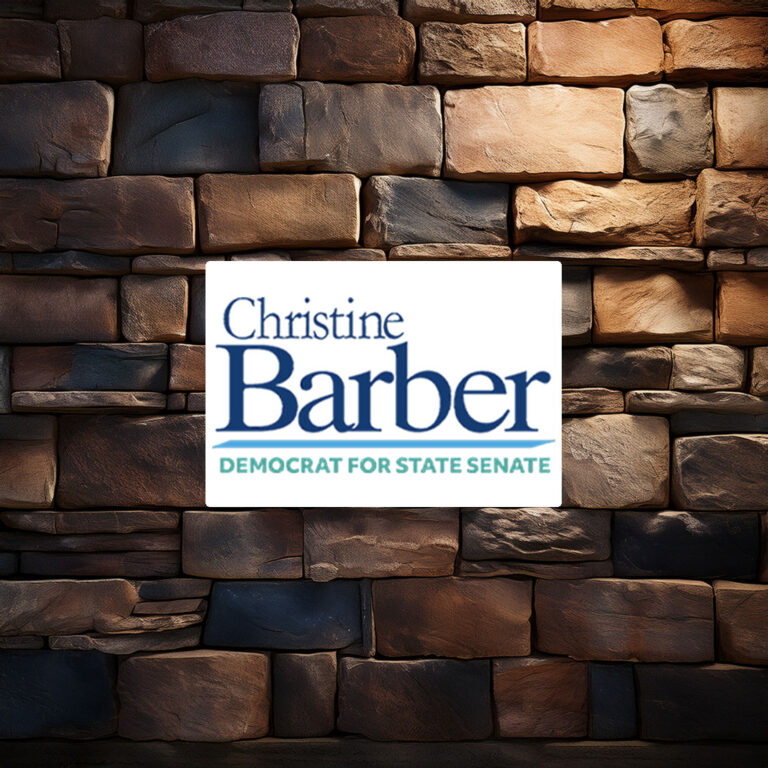 Vote Christine Barber Democrat For State Senate Sticker Decal